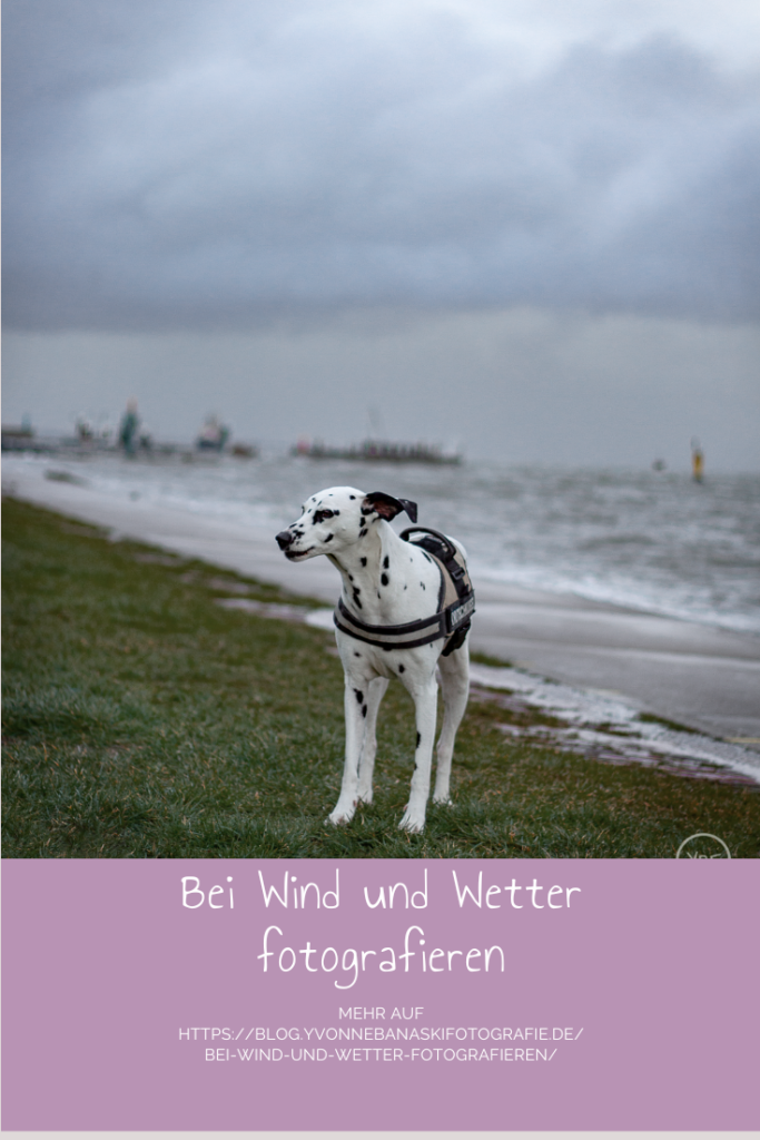 wind und wetter